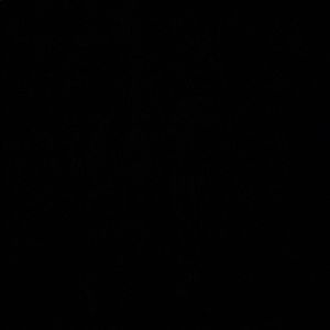 Meet your Posher, Micayla